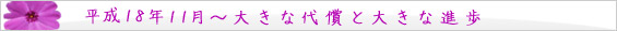 平成18年 11月~ 大きな代償と大きな進歩